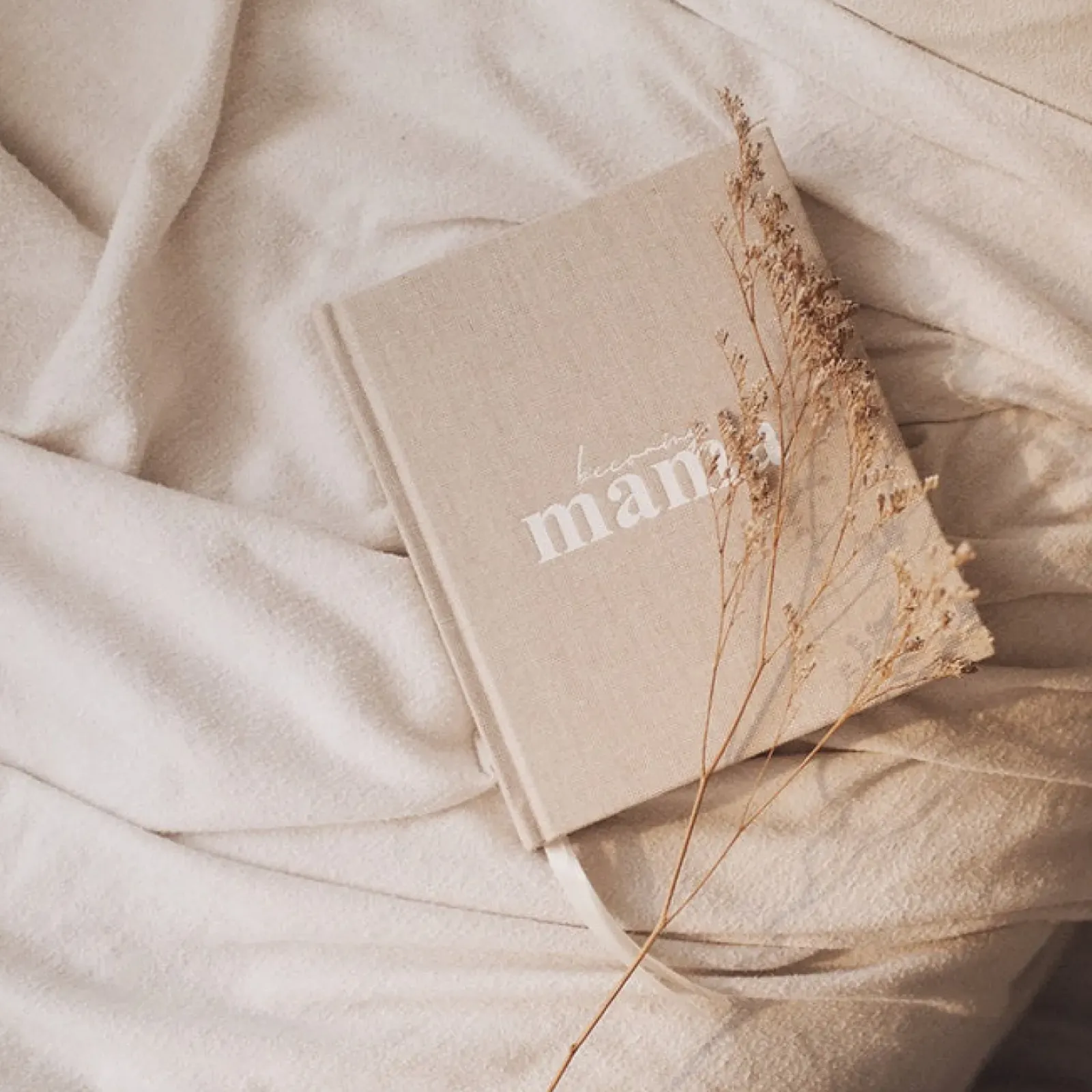 Axel and Ash Axel & Ash - Becoming Mama Fashion