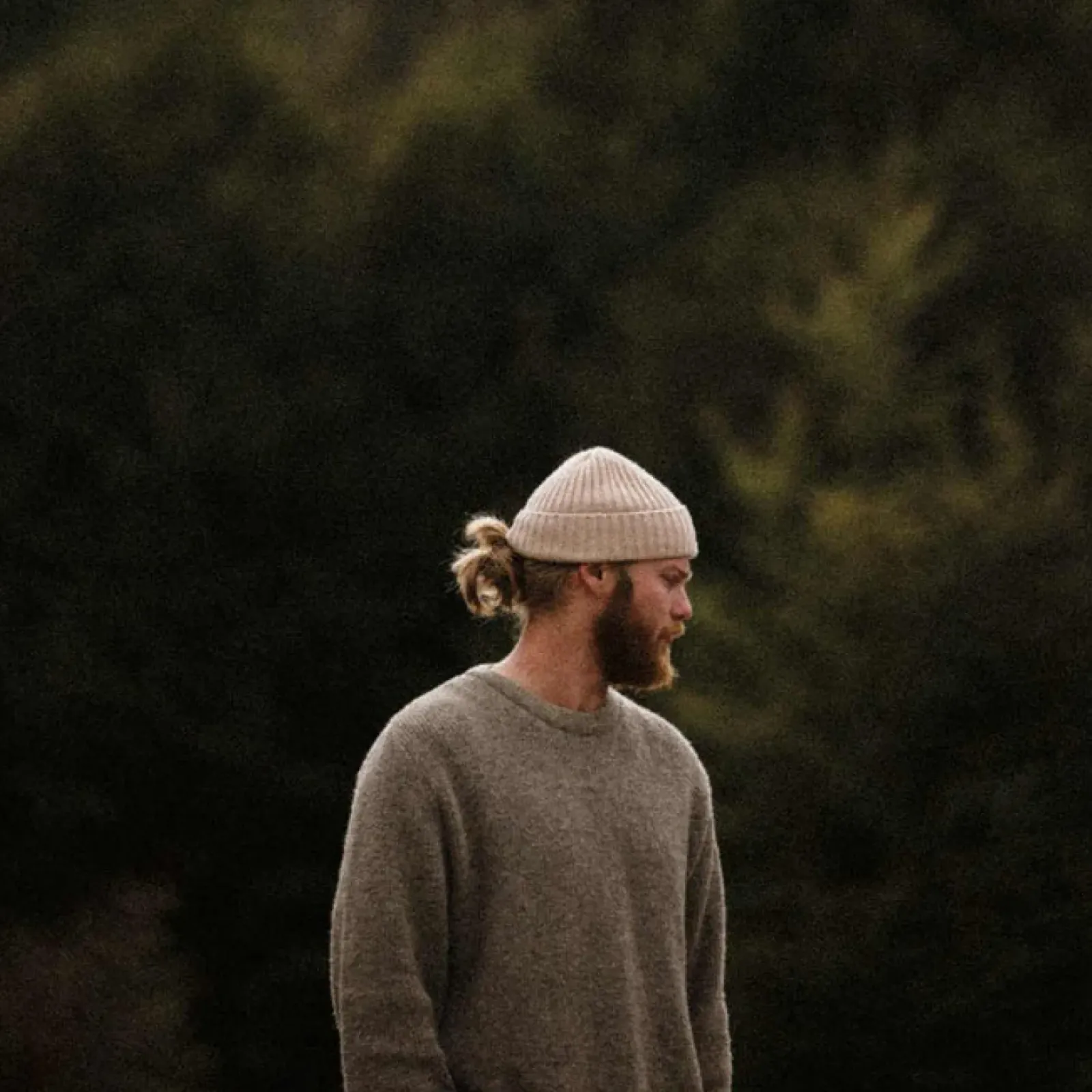 Will & Bear Will & Bear Levi Beanie - Tusk Outlet