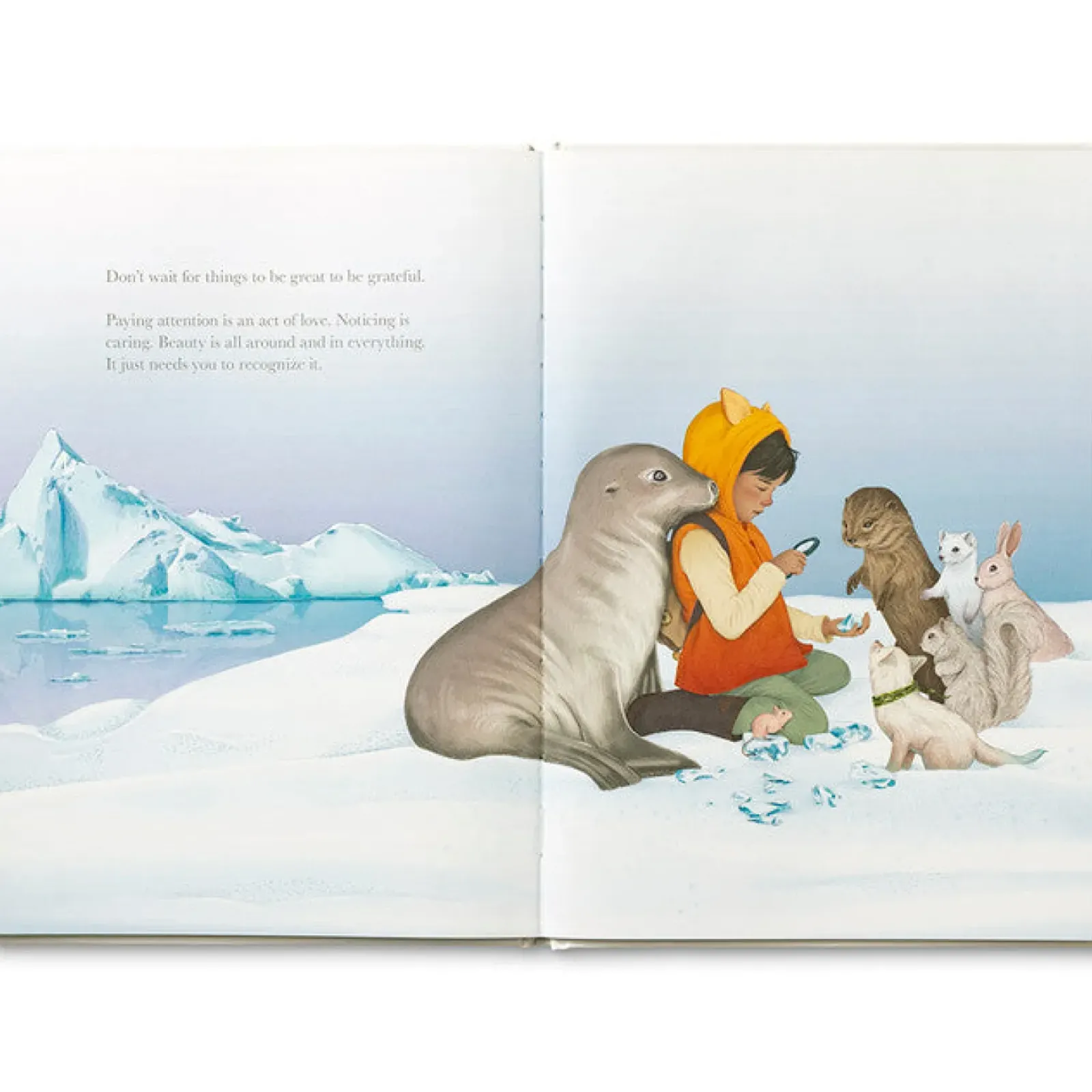 Compendium Why Not? Outlet