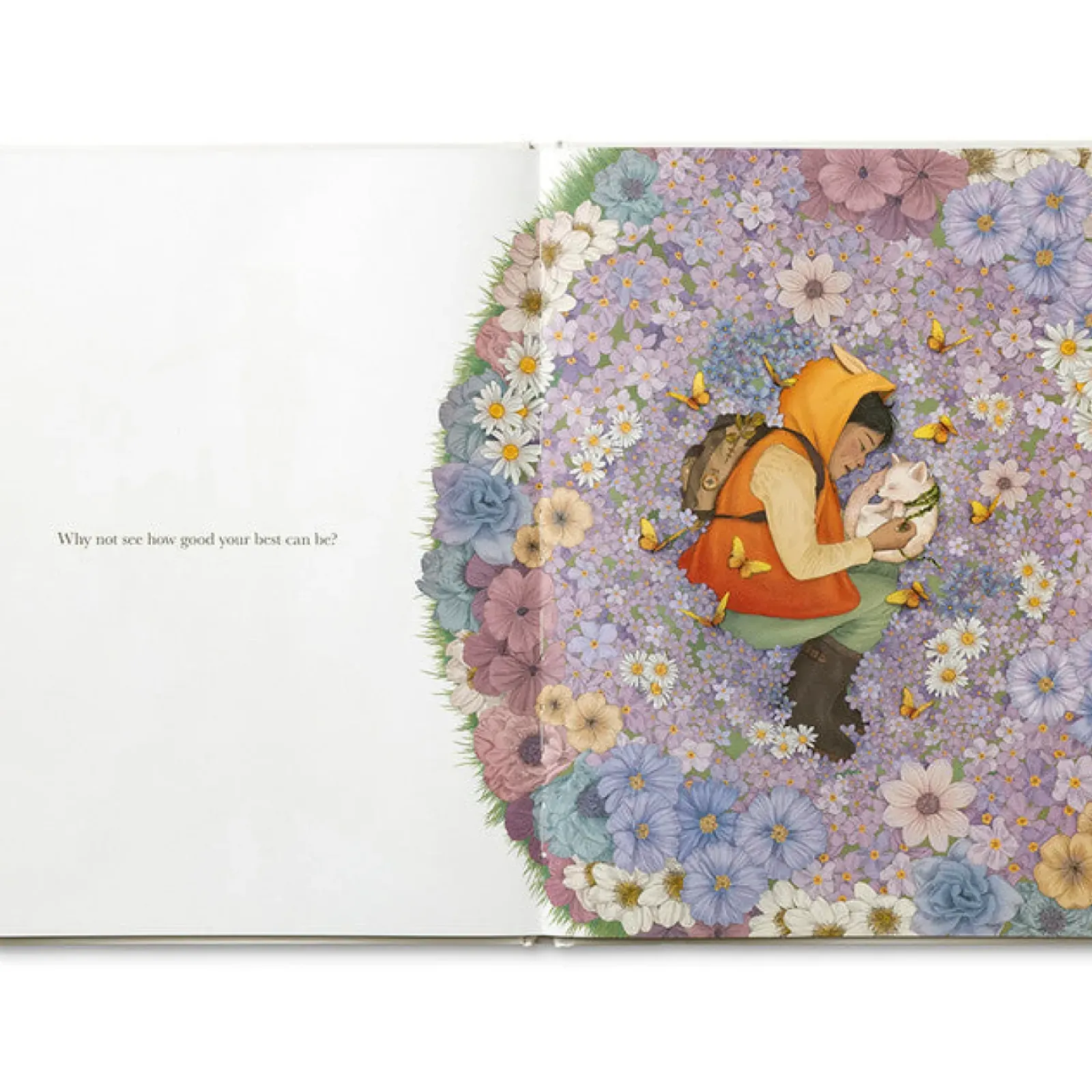 Compendium Why Not? Outlet