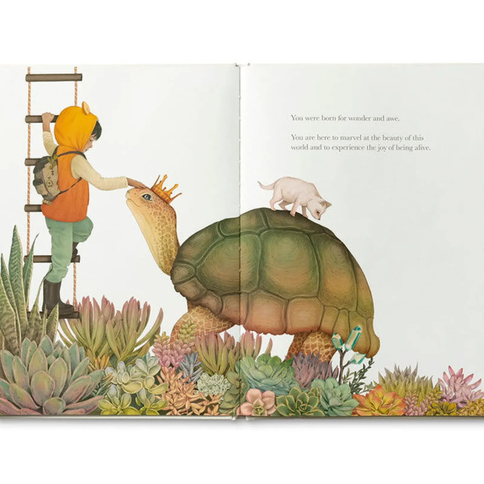 Compendium Why Not? Outlet