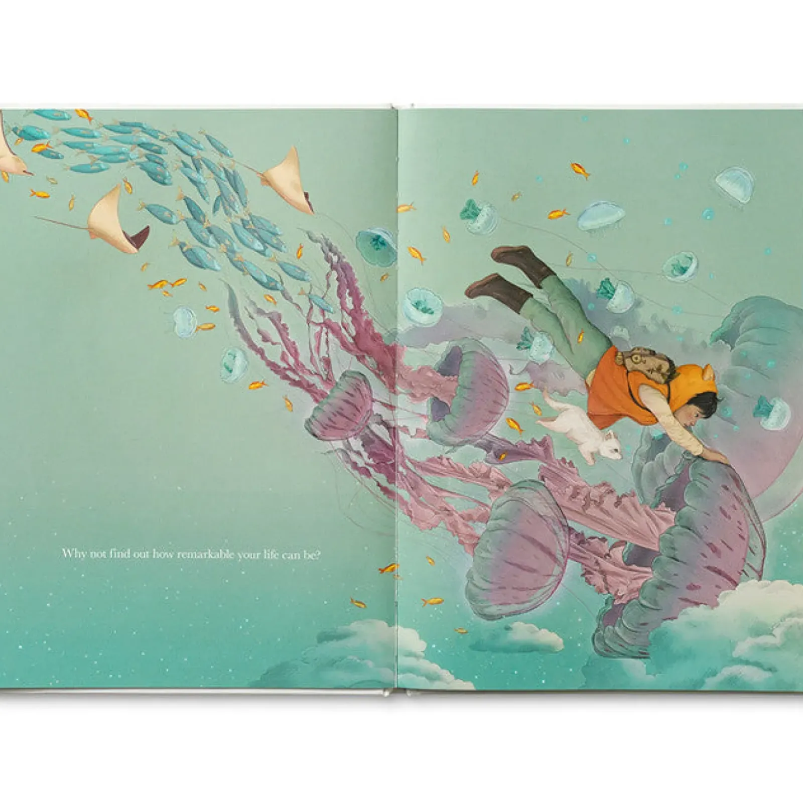 Compendium Why Not? Outlet