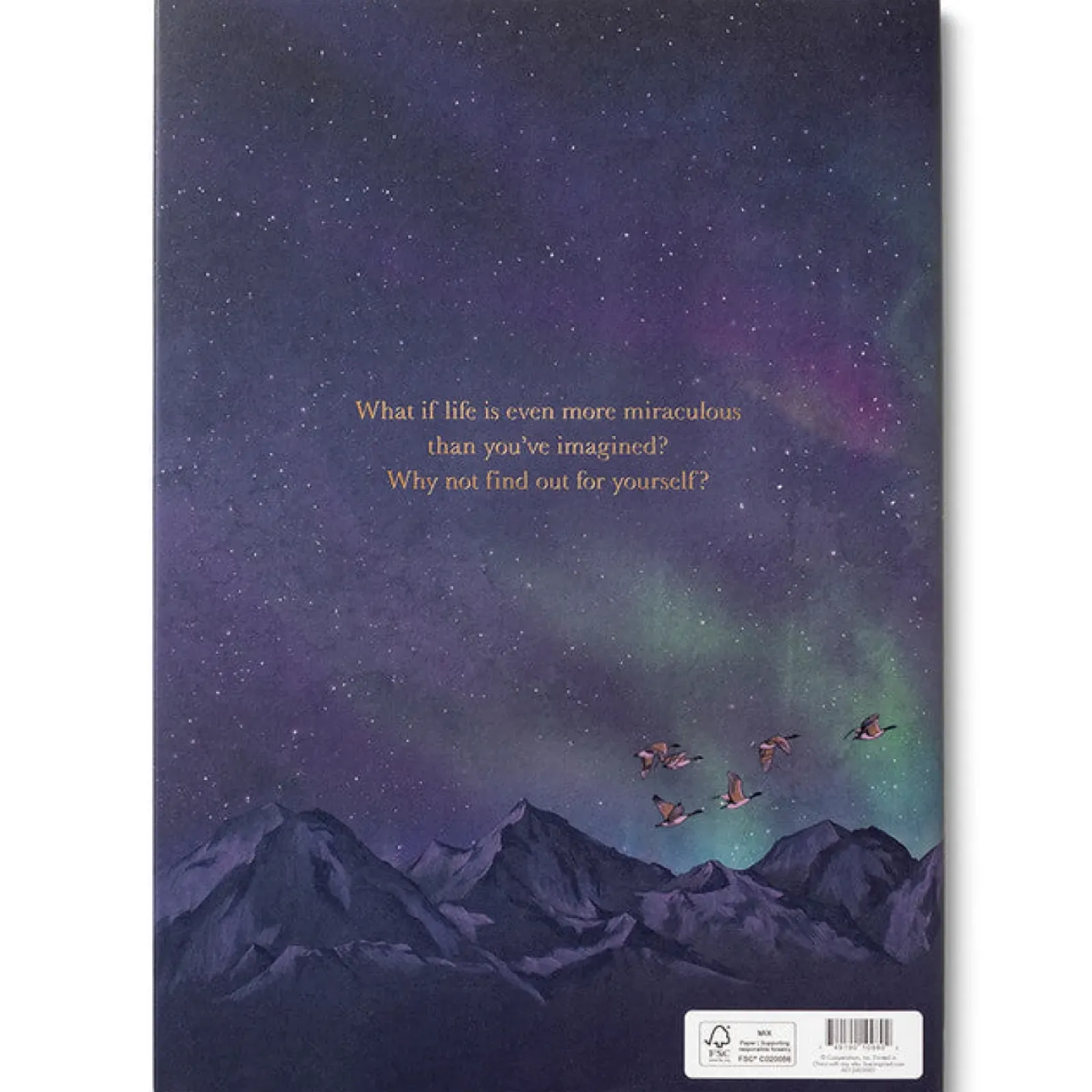 Compendium Why Not? Outlet