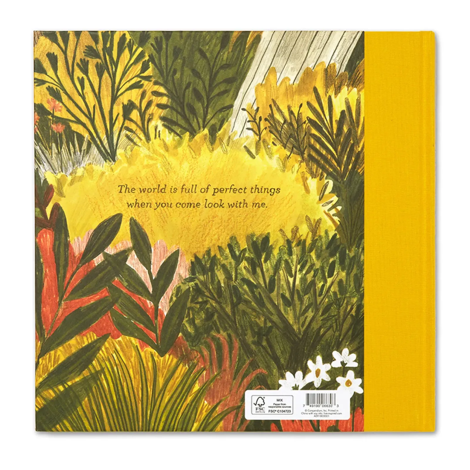 Compendium Tiny Perfect Things New